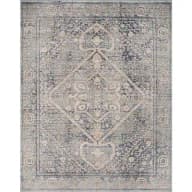 Mystic Medallion Blue 8 ft. X 10 ft. Traditional Area Rug