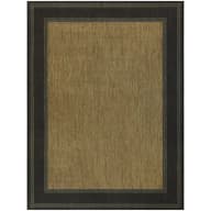 Black/Brown 8 X 10 Border Indoor/Outdoor Area Rug